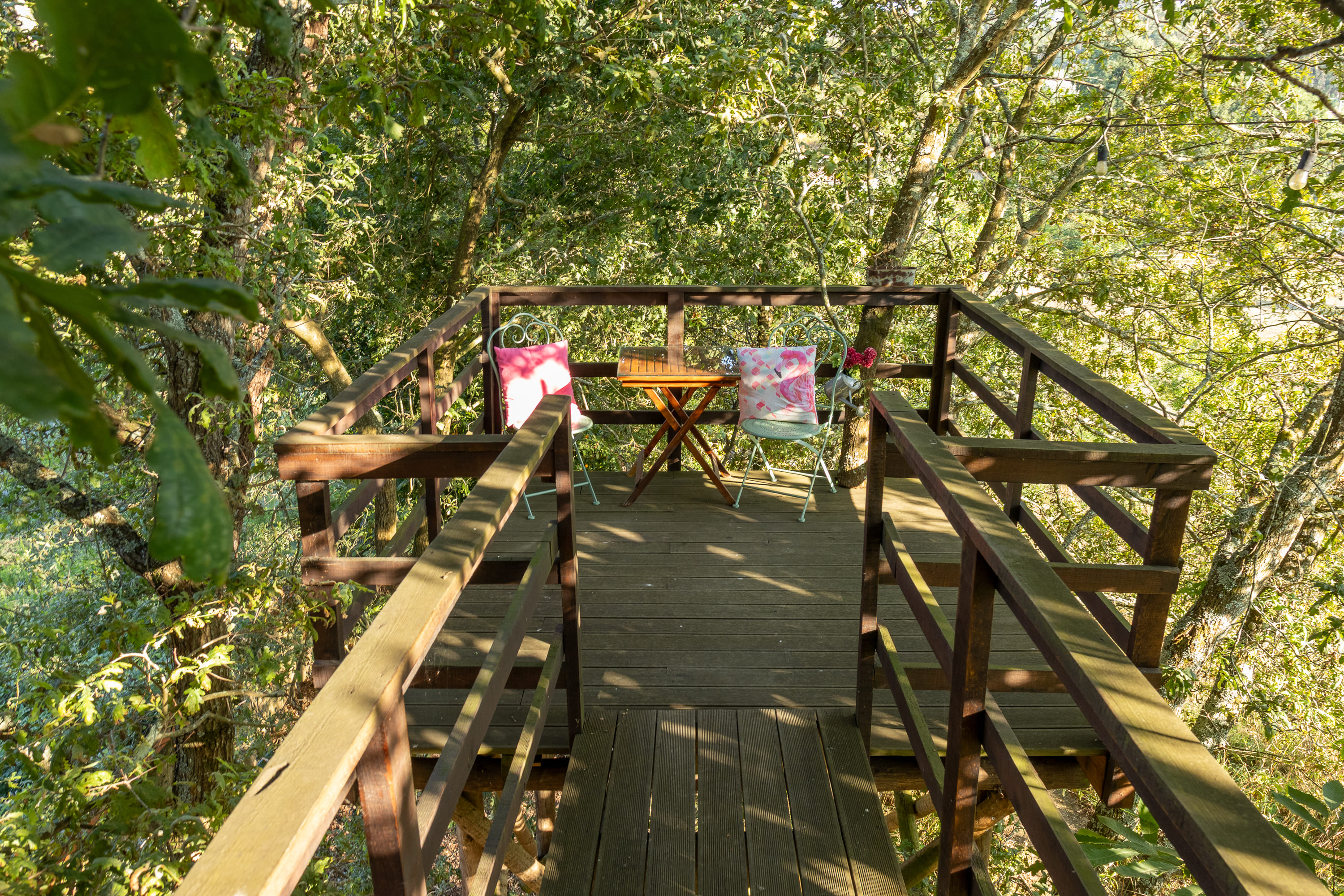 Alameda Tree House
